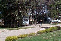 Paringa Caravan Park - Tourism Cairns 0