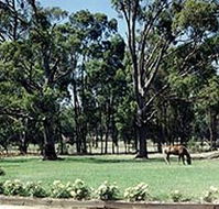 Saratoga Lodge - Tourism Cairns