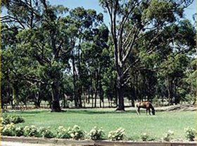 Saratoga Lodge - Tourism Cairns 0