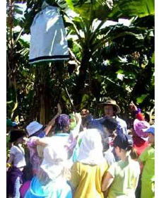 Cudgen NSW Tourism Cairns