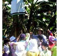 Beachfarm Farmstay - Tourism Cairns