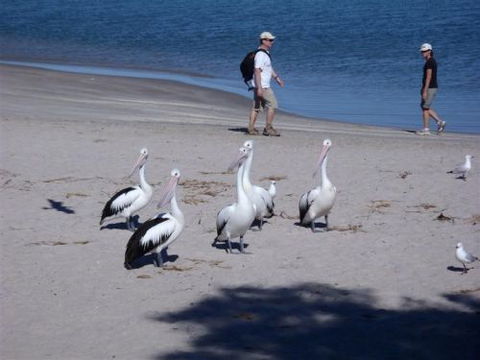 Kalbarri Accommodation Service - Tourism Cairns 5