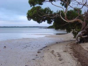 Stanley Lakeside Spa Cabins - Tourism Cairns 0