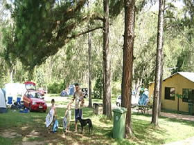 Glasshouse Mountains Holiday Village - Tourism Cairns 0