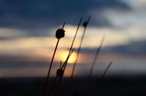 Dune Hideaway - Tourism Cairns 8