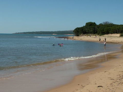 Black Dolphin Luxury Accommodation - Tourism Cairns 7
