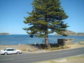 Oceanview - Tourism Cairns 0