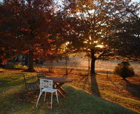 Dairy Park Farm Stay Bed And Breakfast - Tourism Cairns 0