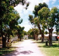 Bathers Paradise Caravan Park - Tourism Cairns