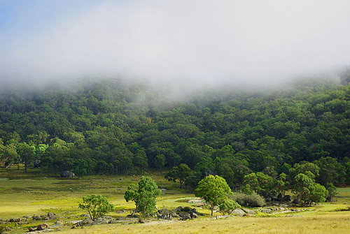 Stannum NSW Tourism Cairns