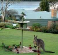Gipsy Point Lakeside - Tourism Cairns