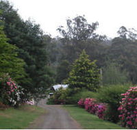 Mountain Rivers Lodge - Tourism Cairns