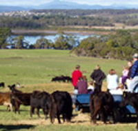 Bonny Brae - Tourism Cairns