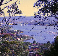 Possums Bed amp Breakfast - Tourism Cairns