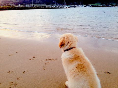 Saltwater Haven - Apollo Bay - Tourism Cairns 5