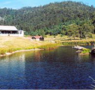 Millybrook Lodge - Tourism Cairns