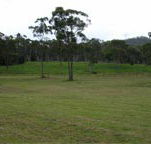 Mt White Lodge - Tourism Cairns