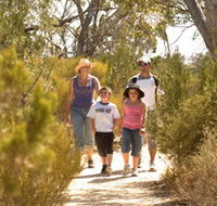 Pepper Tree Cottage - Tourism Cairns