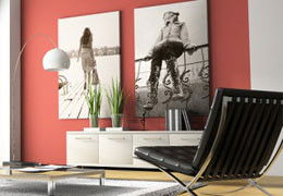 A Good Sort - Tourism Cairns 3