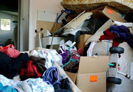 A Good Sort - Tourism Cairns 5