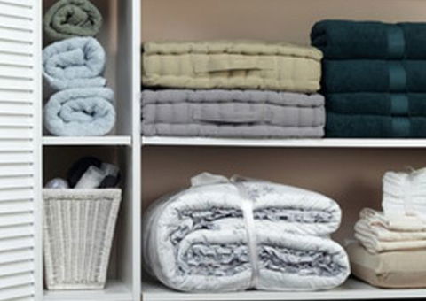 A Good Sort - Tourism Cairns 6