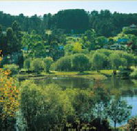 Possum Cottage On The Lake - Tourism Cairns