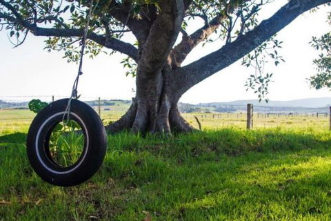 Old Schoolhouse Milton - Tourism Cairns 3