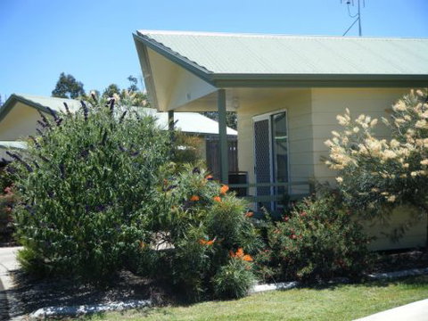 Pepper Tree Cabins - Tourism Cairns 0