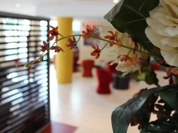 Ibis Newcastle - Tourism Cairns 24