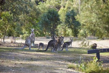 Yering Gorge Cottages By The Eastern Golf Club - Tourism Cairns 13