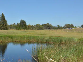 Madigan Wine Country Cottages - Tourism Cairns 97