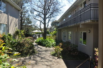 Buckingham International Serviced Apartments - Tourism Cairns 4