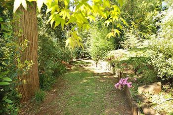Holly Lodge - Tourism Cairns 4