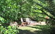Holly Lodge - thumb 14