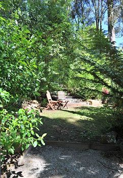 Holly Lodge - Tourism Cairns 14