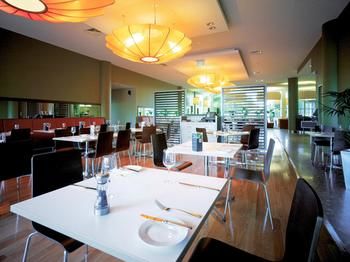 Ibis Melbourne Glen Waverley - Tourism Cairns 18