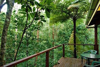 Kondalilla Eco Resort - Tourism Cairns 2