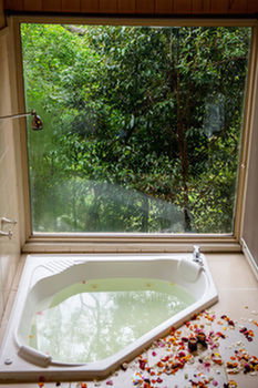 Kondalilla Eco Resort - Tourism Cairns 17