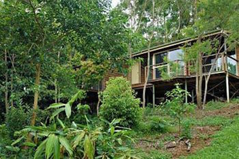 Kondalilla Eco Resort - Tourism Cairns 22