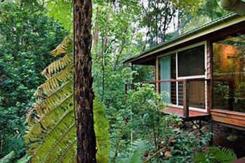 Kondalilla Eco Resort - Tourism Cairns 23
