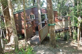 Kondalilla Eco Resort - Tourism Cairns 27