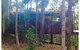 Kondalilla Eco Resort - thumb 32