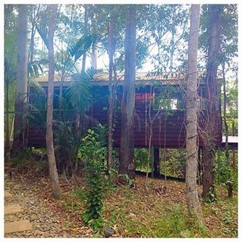 Kondalilla Eco Resort - Tourism Cairns 32