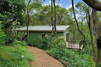 Kondalilla Eco Resort - Tourism Cairns 34