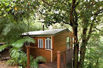 Kondalilla Eco Resort - Tourism Cairns 35