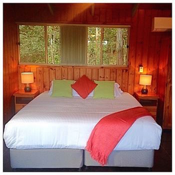 Kondalilla Eco Resort - Tourism Cairns 42