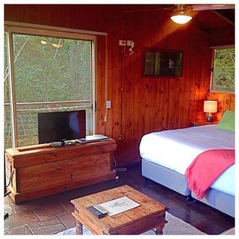 Kondalilla Eco Resort - Tourism Cairns 50