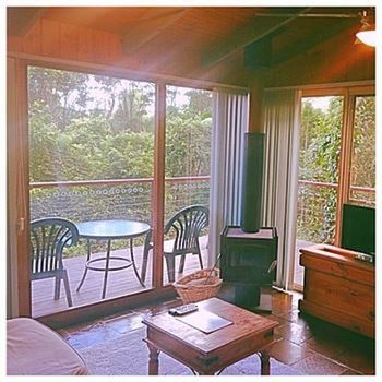 Kondalilla Eco Resort - Tourism Cairns 89