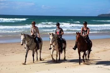 Sunset Cove Noosa - Tourism Cairns 24