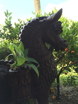 Lilies Luxury Retreats - Tourism Cairns 22